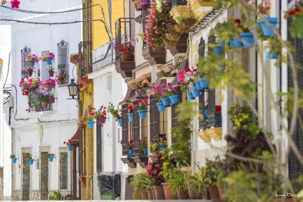 Casa "Las Flores" Barbate Exteriér fotografie
